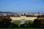 City Spotlight: Vienna
