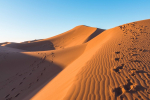 Journey into the Sands: Unveiling the Magic of Desert Safari