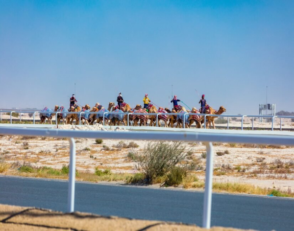 Sheikh Faisal Museum and Camel Track