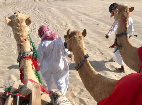 Half Day Desert Explorer (Doha to Sealine desert)